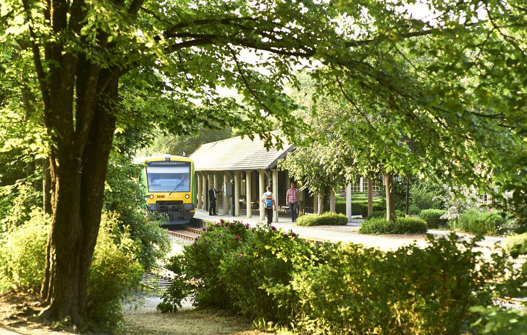 Hotel Rehwinkel Bodenmais Exteriér fotografie
